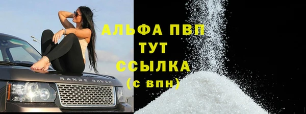дживик Белокуриха