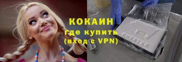 дживик Белокуриха
