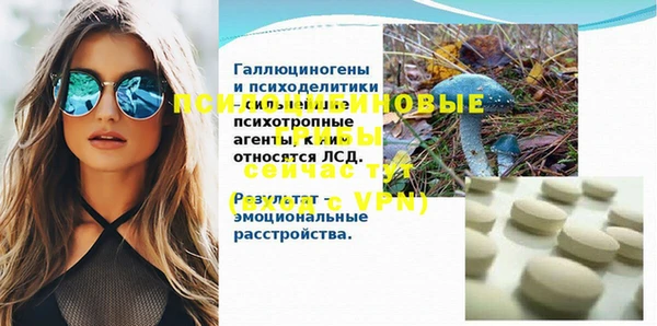 дживик Белокуриха