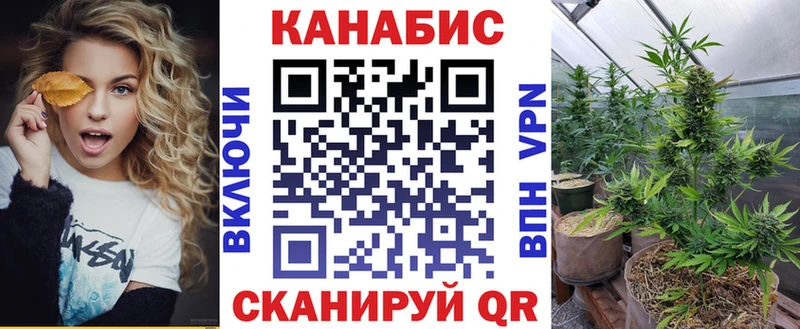 Купить закладки  Далматово  Бошки марихуана тримм 
